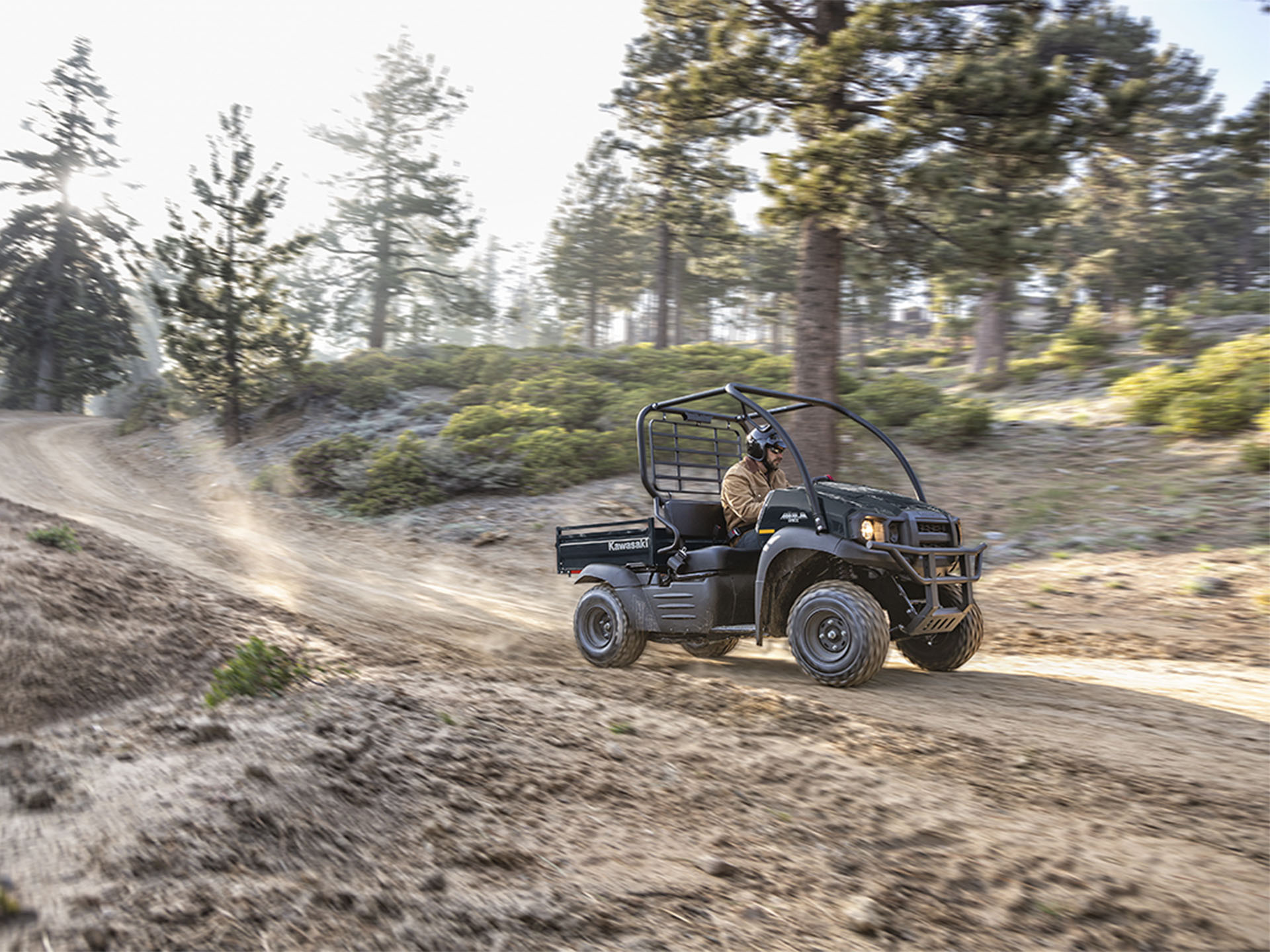MULE SX